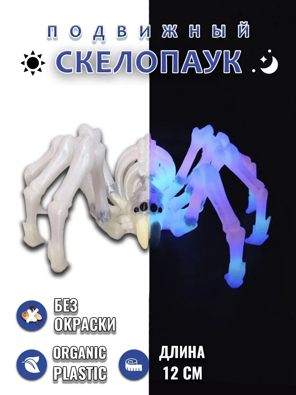 Скелет Паук