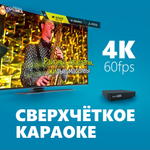 Evolution EvoBox с микрофонами