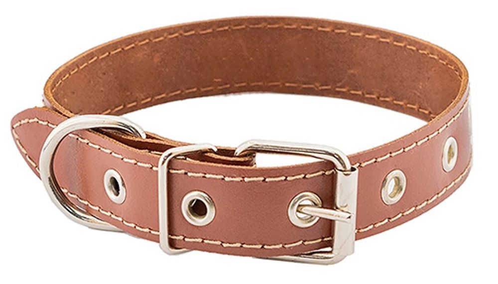 Ошейник "Чип" из кожи коричневый для собак 25 мм обхват шеи 45-57 см.