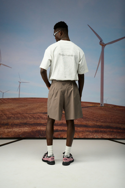 Шорты Nothomme Blue Monte Pressed-Seam Casual Hiking Shorts "Chaffinch Brown"