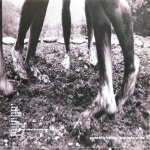 Pearl Jam / Vs. (LP)