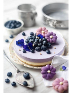 Форма для выпечки разъемная Patisse Carat 24х7 см