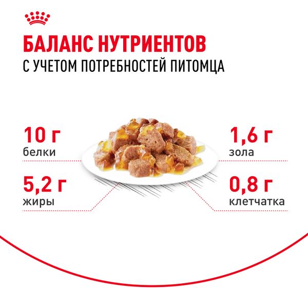 Пауч Royal Canin Ageing +12 для стареющих кошек в возрасте старше 12 лет, мелкие кусочки в желе