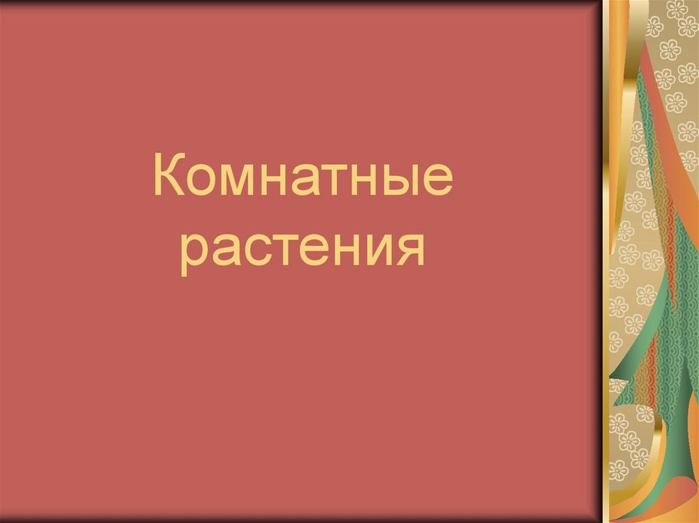 Комплект для обучения навыкам ухода и выращивания комнатных растений — купить по ФГОС | Учебный стандарт