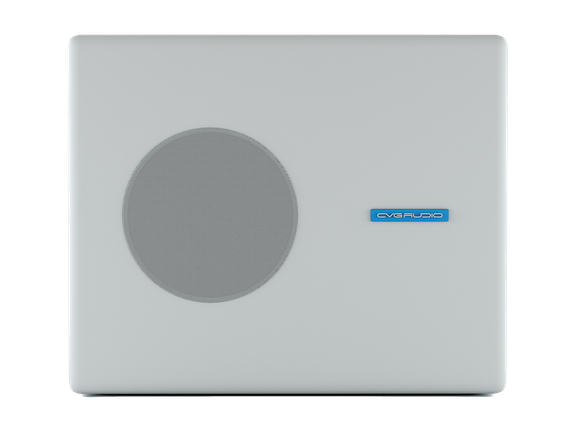 CVGAUDIO SUBone model B-8W/CR/T-100 настенный сабвуфер, мощность 100W/100V