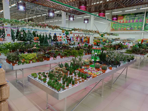 Стол 1280х3080х800мм в комплекте с поддоном-вкладышем