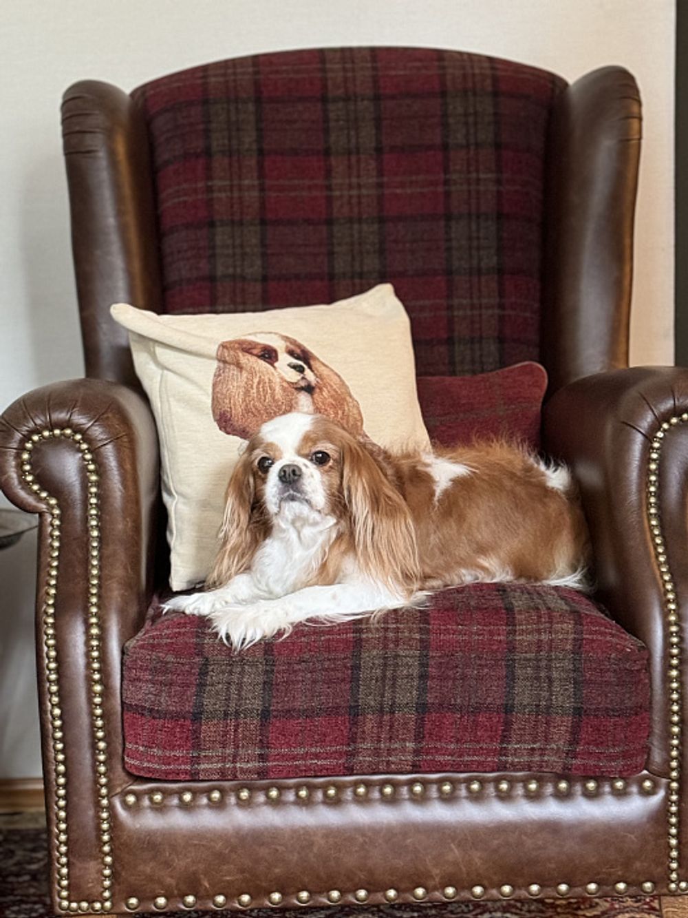 Кресло "Корнер Рэд"