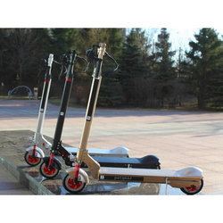Электросамокат UB-GO 48V 13Ah