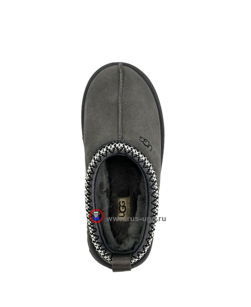 TAZZ Grey