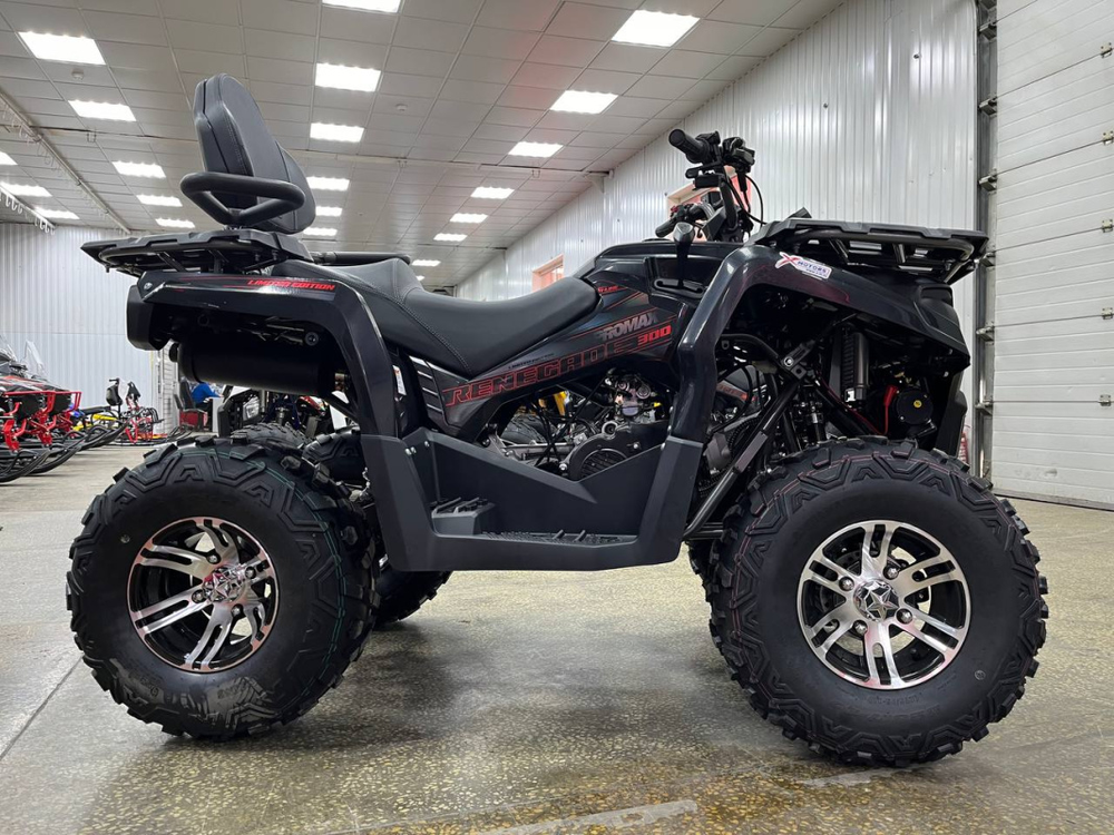 Квадроцикл PROMAX RENEGADE 280 LONG WINCH PRO (2025)