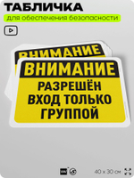 Табличка для обеспечения безопасности "Внимание, разрешен вход только группой", для офиса, по охране труда для предприятия, организаций, 40х30 см, Silver Plane x Айдентика Технолоджи