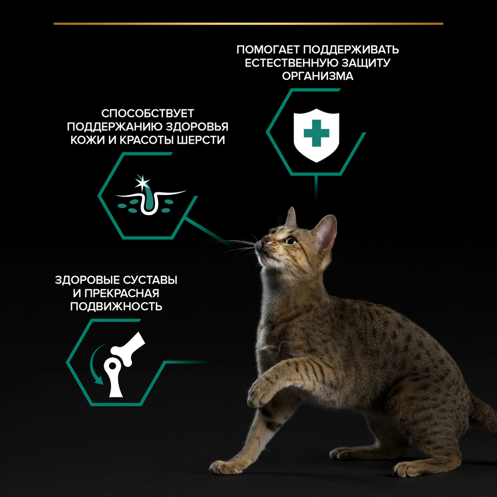 Влажный корм PRO PLAN MAINTENANCE для взрослых кошек ягненок в желе 85г x 26 шт