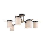 Потолочная люстра Freya BOGY FR5377CL-06B