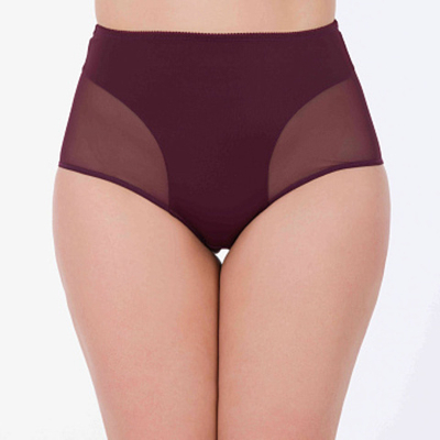 Novella 790 Слива