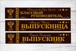Именная лента выпускника №08