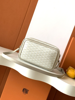 Moynat Camera Bag 22 cm