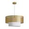 Подвесной светильник Freya Modern FR5528PL-01BS