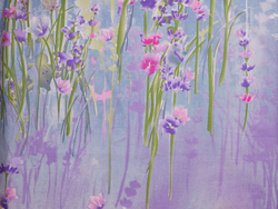 Постельное белье СайлиД B-143 сатин