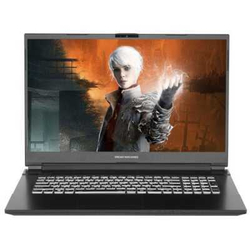 Ноутбук Dream Machines RG3060-17KZ39