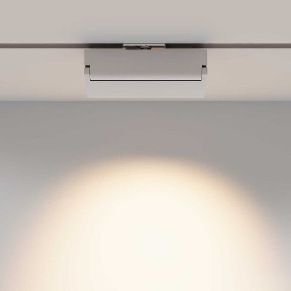 Трековый светильник Maytoni Technical TR223-1-12WCCT-W-W