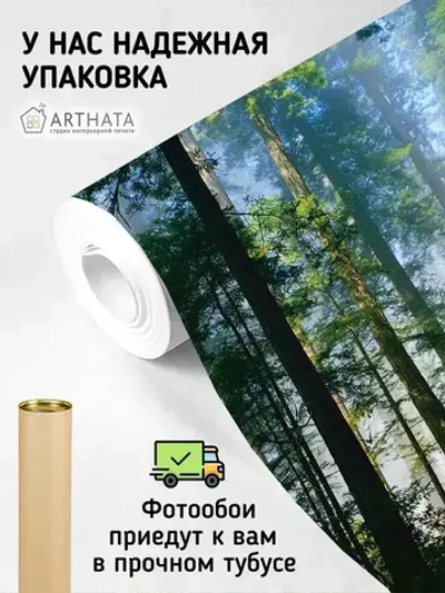 Фотообои сосновый лес в солнечных лучах на кухню 200х270