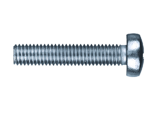Винт с полусферической головкой 6х10 цинк