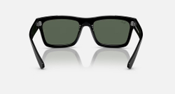 RAY-BAN WARREN RB4396 667771 BIO-BASED