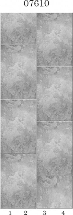 Панель ПВХ фотопечать 3D Panda 3Д текстура 2700х250 мм