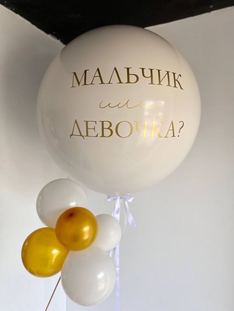 Большой шар на гендер пати №3496
