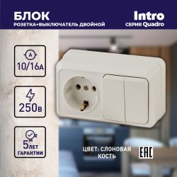 Блок розетка с выключателем Intro Quadro 2-702-02 двойным горизонтальный 10А-250В, IP20, ОУ, слоновая кость