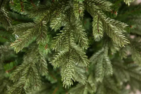 Елка Шервуд Премиум 230 см., литая хвоя+пвх, Triumph Tree (73372)