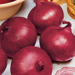 Ред Свит F1 семена лука репчатого (Sakata / Саката)