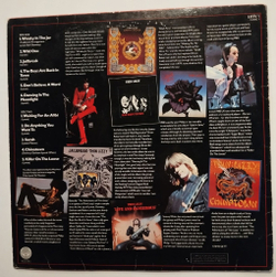 Винтажная виниловая пластинка LP The Adventures Of Thin Lizzy (The Hit Singles Collection) (UK 1981)