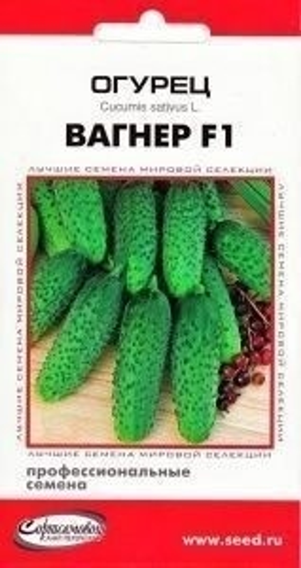 Огурец_Вагнер F1_6_шт._Дом Семян С-П 100 =