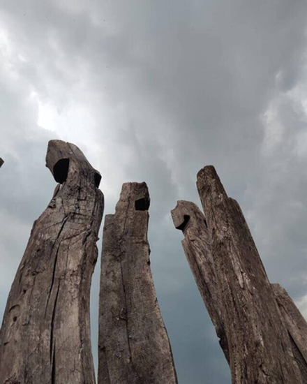 Древние АРТЕФАКТЫ старого дуба