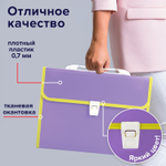 Папка-портфель пластиковая BRAUBERG "JOY" А4 (330х245х35 мм) 13 отделений с окантовкой фиолетовая (2 штуки в упаковке)