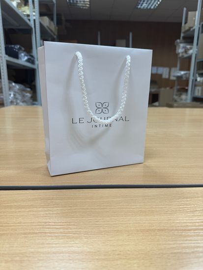 Пакет из мелованной бумаги с цветной печатью со шнурками с логотипом заказчика 22х19х6 (в*ш*г)