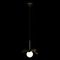 Подвесной светильник Loft IT Monro 10213/A Black