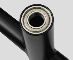 SVENSSON BODY LABS STRIDELINE EXA