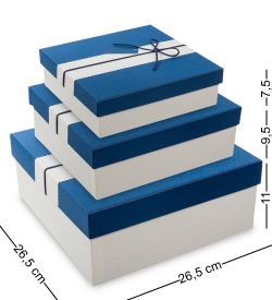 Packing Symphony WF-36-A Набор коробок из 3шт «Прямоугольник» цв.бел./син.