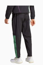 Штаны adidas FC Bayern 23/24 Presentation