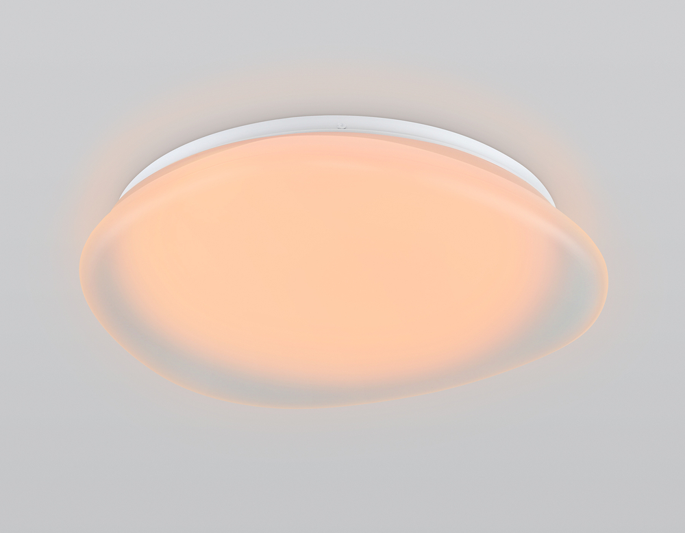 FZ1610 FR матовый IP20 40W 3000-6500K+RGB 410*100 (ПДУ ИК)