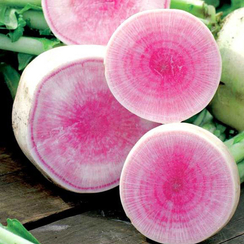 Мисато Роуз Флэш семена дайкона (Sakata / Саката)