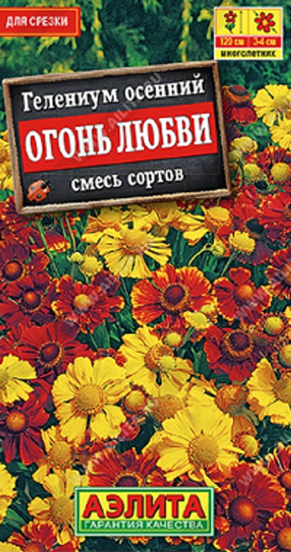 Гелениум Огонь любви, смесь окрасок