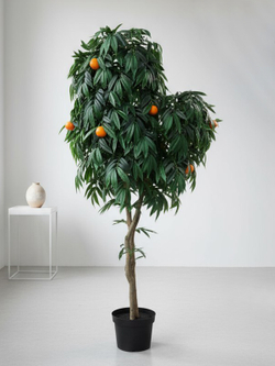 Дерево Апельсин 280см в кашпо