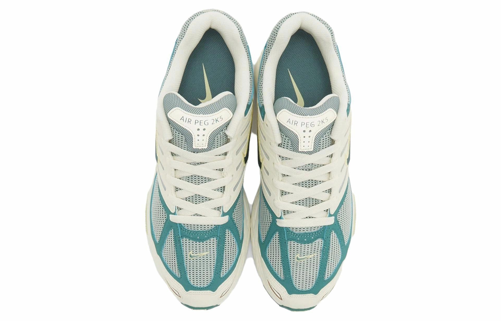 Кроссовки Nike Air Pegasus 2K5