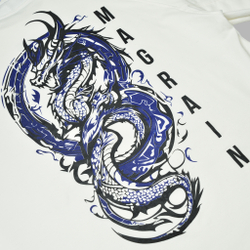 Футболка Реглан DRAGON