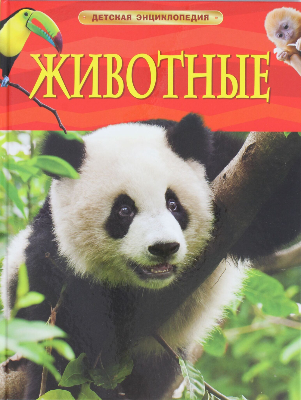 Животные.