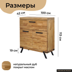 Тумба,100х42х113, Флеверс, комод, в прихожую, под телевизор, из массива дуба, Dipriz
