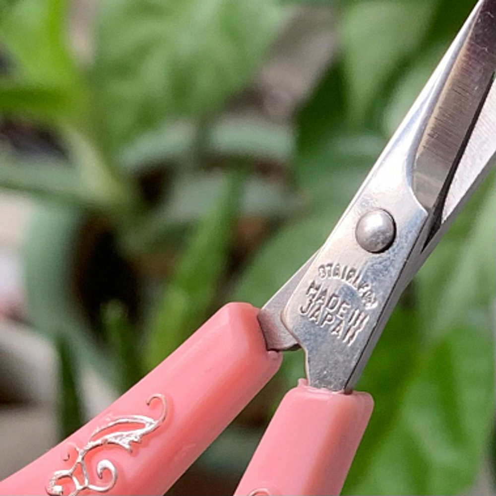 Ножницы с закругленными концами (Curve scissors)